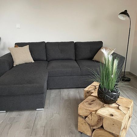 L'Appartement Charmant A Dole Kültér fotó